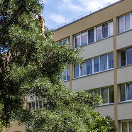 Cozy 2-bedroom Near & Town Centre Apartament Połąga